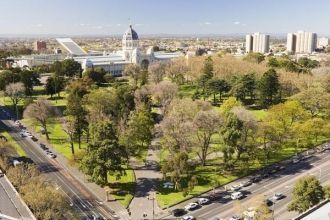 Одной из аллей является Большая платанов