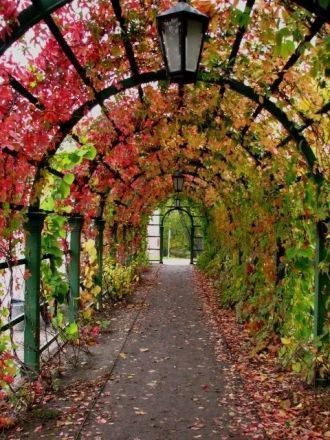 Самой эффектной частью Цветочного сада д