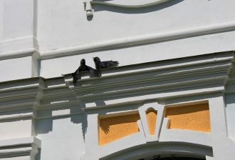 Многие из них «вошли в комедию», обессме