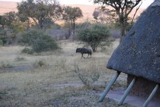 Лагеря людей в парке не огорожены, и гос