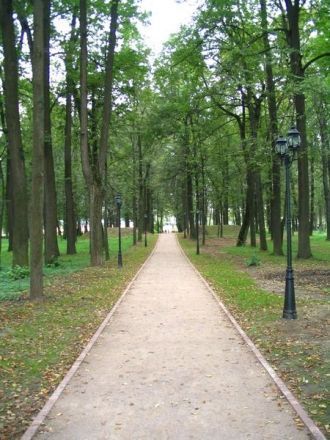 К западу от дома высится вековой липовый