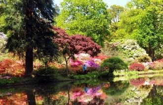 Он с большим удовольствием работал в теп