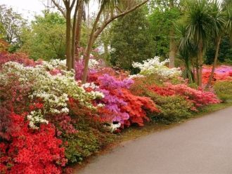 Когда в 1918 году он приобрел поместье н