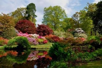 Ротшильд создал уникальный микроклимат д