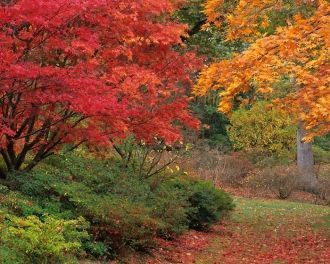 Особенно хорошо в его саду чувствовали с
