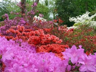 Многие из них были истреблены на своей и