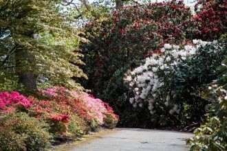 Когда в 1942 году война с Германией пост