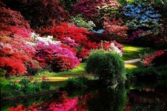 Эти растения Лайонел Ротшильд любил боль