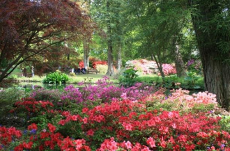 Сегодня специалисты могут найти в Эксбер