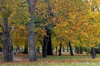 Территория парка составляем 1 кв.км, тут