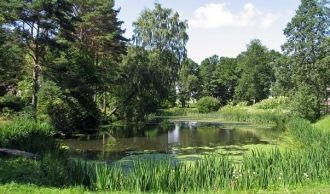 Дендропарк, представляющий экспозицию др