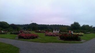 Самую большую площадь занимает дендропар