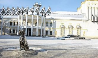 28 ноября 2010 года Воронеж отмечал 105-