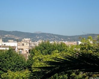 Окружающий вид с террасы дворца.