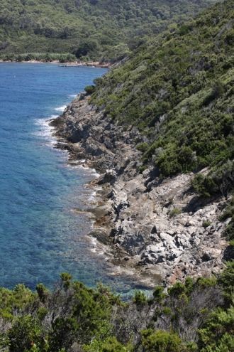 У дна скалы густо поросли разноцветными 