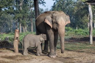 В рамках парка создана уникальная в свое