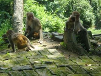 Национальный парк с его невообразимыми п