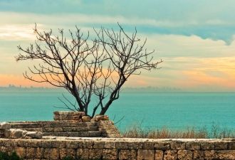 Египет имел огромное влияние на Библ. Жи