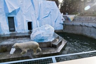 В 2008 году зоопарк – финалист конкурса 