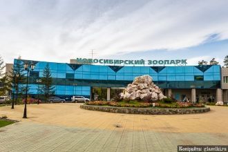 Новосибирский зоопарк — участник различн