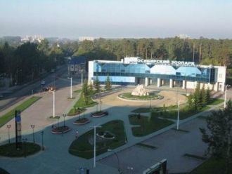 В 1949 году по решению горисполкома долж