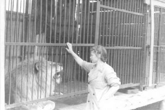 В 1937 году в зоосаде уже было 50 видов 