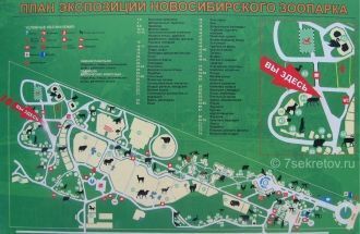 План экспозиции Новосибирского зоопарка.
