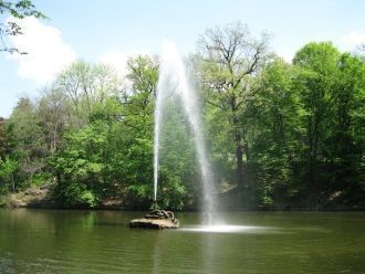 Змея «выбрасывает» из бронзовой пасти гр