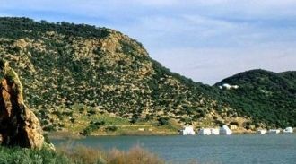 Изобилие пищи и привлекает сюда водоплав