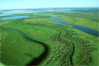 Здесь нет дорог, поэтому Вуд-Баффало слу