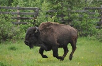 Парки на равнинах центральной Канады соз