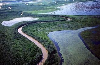 Вуд-Баффало размещается между озерами Ат