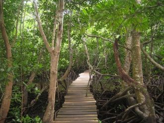 Заповедник Джозани находится в центре во