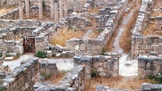 Но со временем на острове появляется про