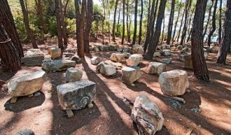 Обязательно найдите визитную карточку Фа