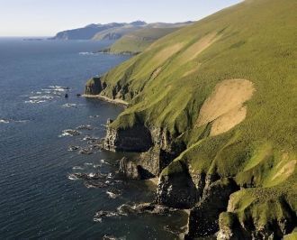 Для животного мира Командор характерен р