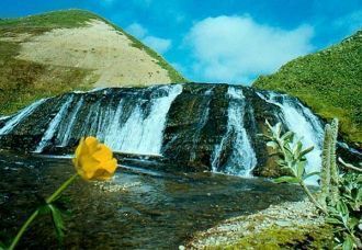 Одни из крупнейших в мире лежбища морски