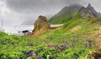 В 1958 г. был введен запрет на лов рыбы 