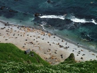 Заповедник создан для охраны и изучения 