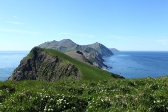 На протяжении всего периода своего сущес