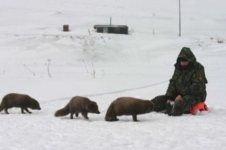 Командорский государственный природный б