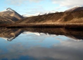 На сегодняшний день большая часть террит