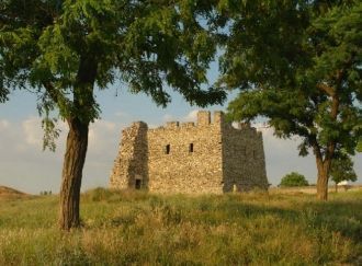 В последующие годы сарматы, аланы и рокс