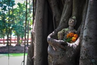 Статуэтка Будды на стволе дерева.