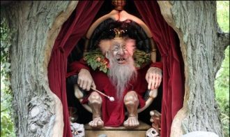 В этом дереве живет вот такая необычная 