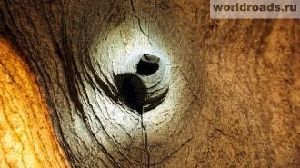 При раскопках в ней нашли большое число 