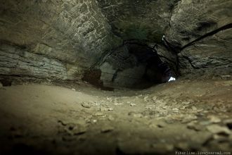 За все годы раскопок археологи обнаружил