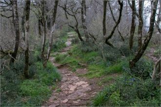 Тропа к пещере