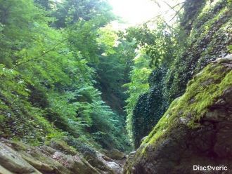 С высоты 2400 м простираются плотнодерно