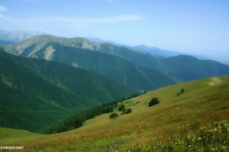 Направление научных исследований заповед